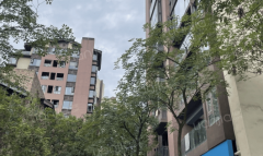 270°全景视野取地标性：凭仗